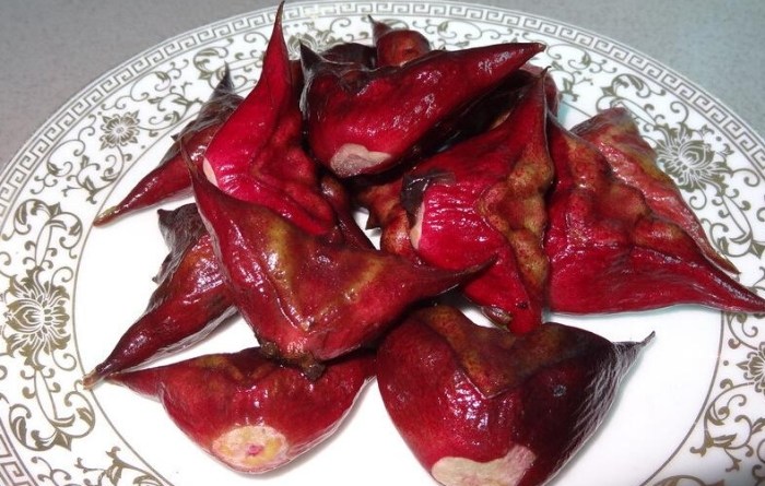 菱角功效