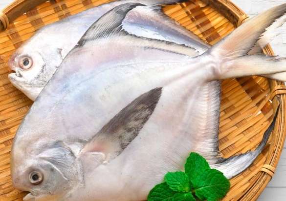 白鯧魚​