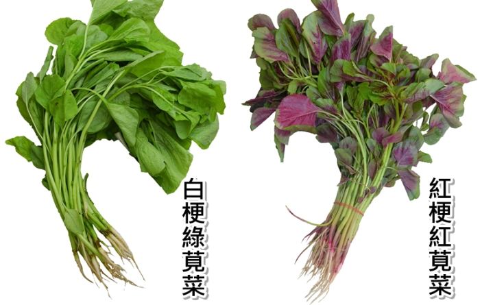 莧菜營養