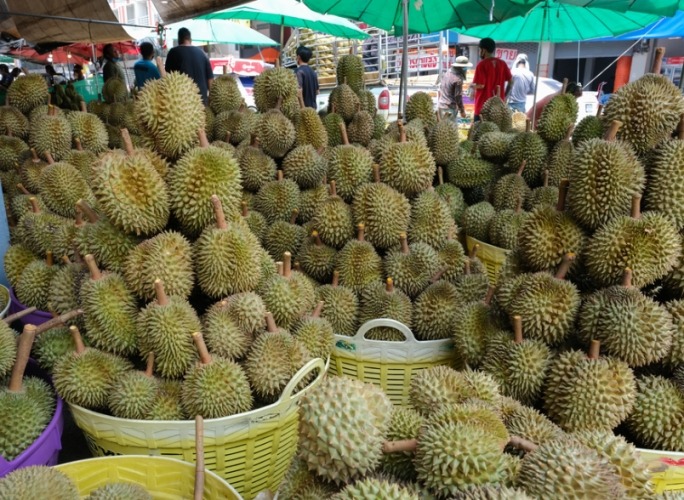 榴槤的功效與禁忌