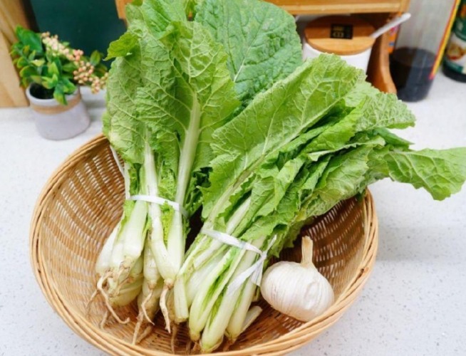 小白菜品種