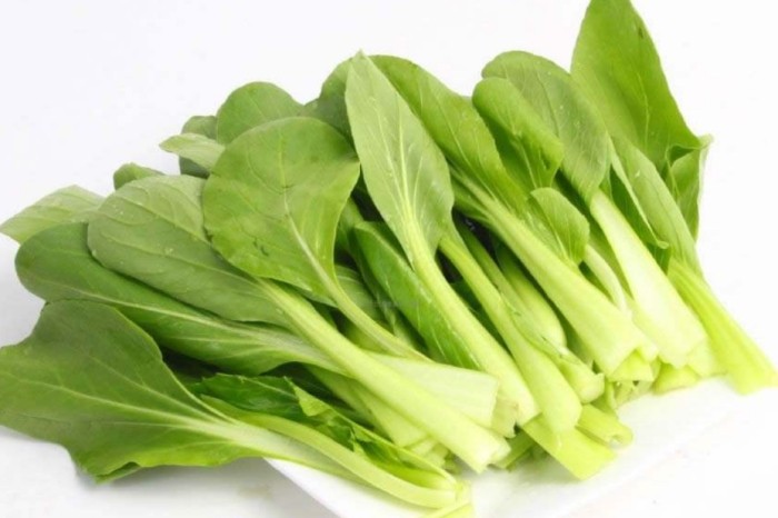 小白菜品種