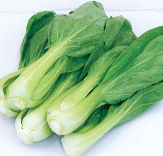 小白菜品種