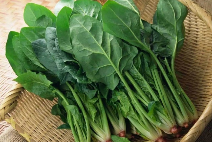 菠菜禁忌