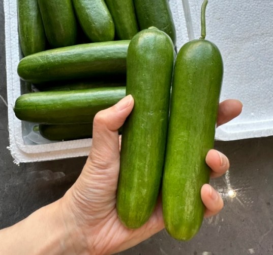 水果小黃瓜料理