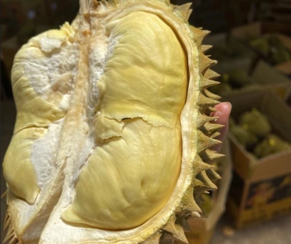 榴蓮甜點