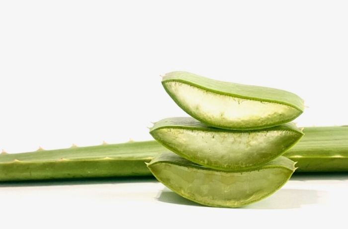 蘆薈的功效