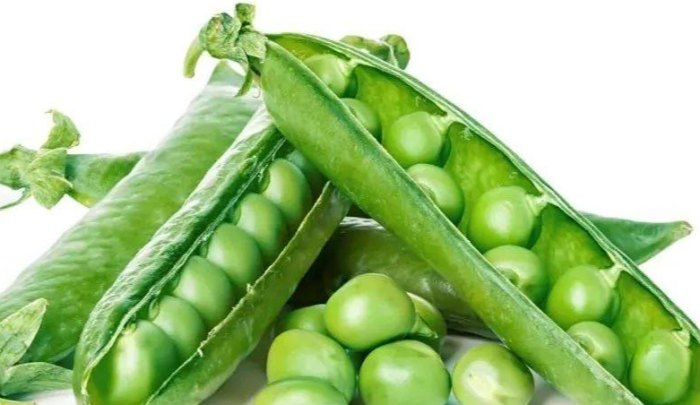 豌豆的奧秘：解析豌豆營養、7大功效、簡單料理與居家種植，荷蘭豆≠豌豆？ post thumbnail image