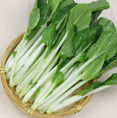 小白菜營養