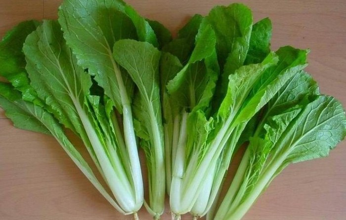 小白菜料理