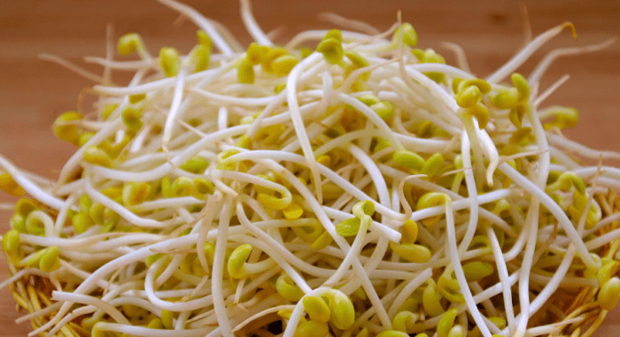 豆芽菜料理