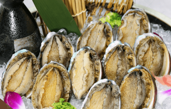 鮑魚食用禁忌