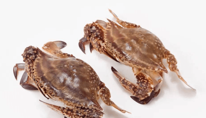 梭子蟹料理