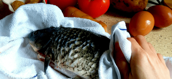 鯽魚料理