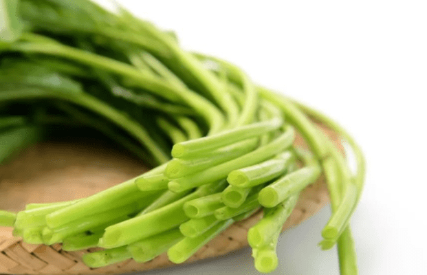 空心菜營養成分