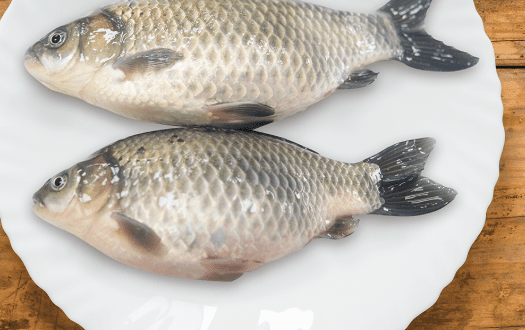 鯽魚如何挑選