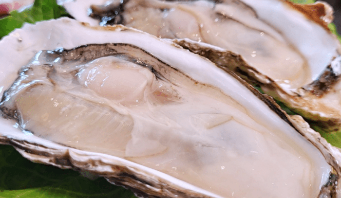生蠔料理