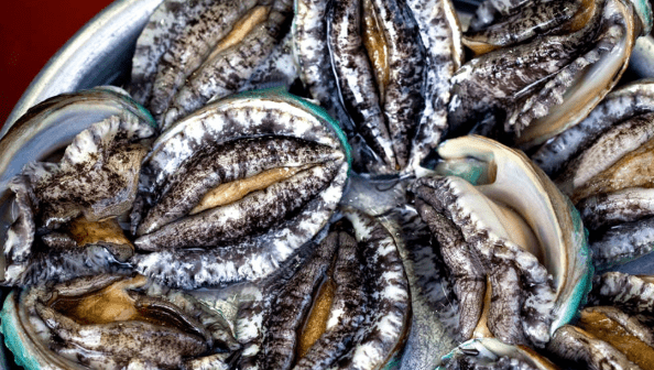 鮑魚料理