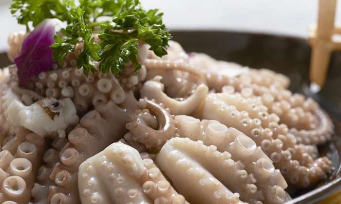 章魚營養價值