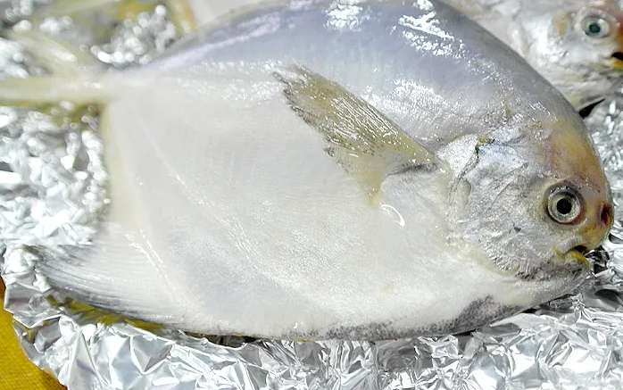 ​白鯧魚​營養