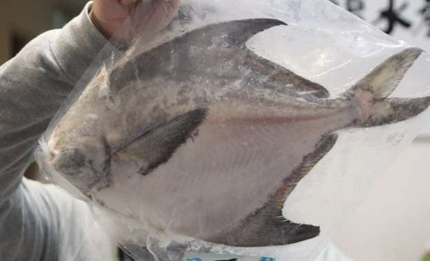 ​白鯧魚​營養