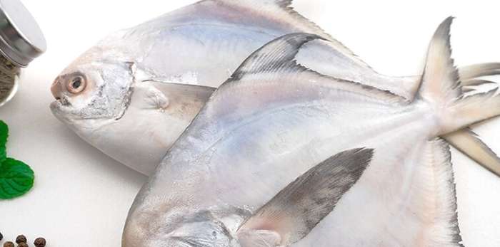 白鯧魚​種類